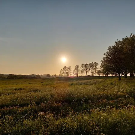 Tjotta Gjestegaard Gasthof Alstahaug